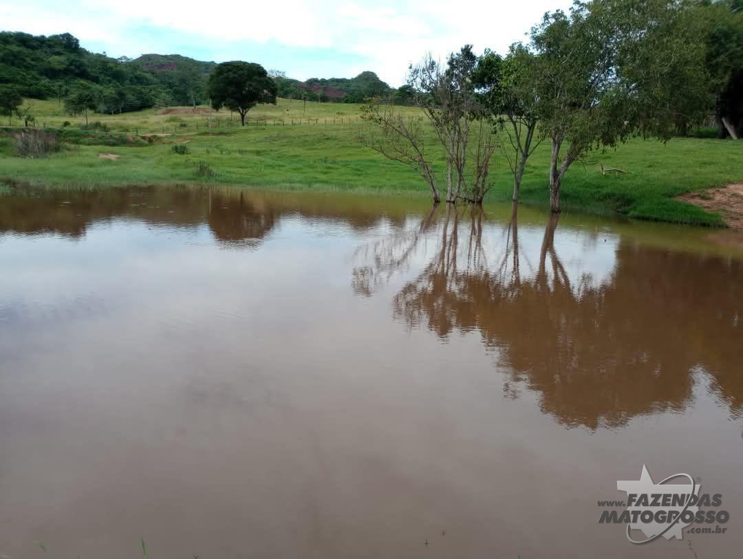Fazenda a venda em Pedra Preta - MT