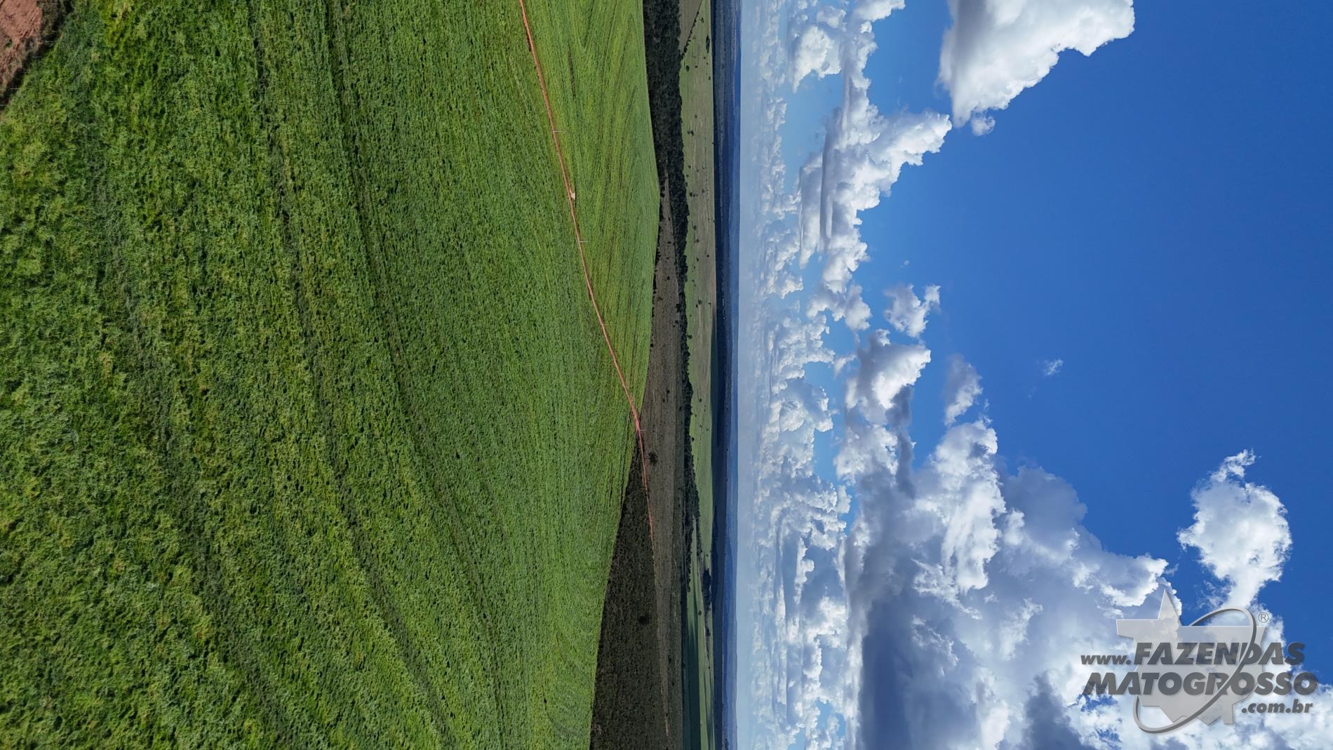 Fazenda a venda em General Carneiro - MT