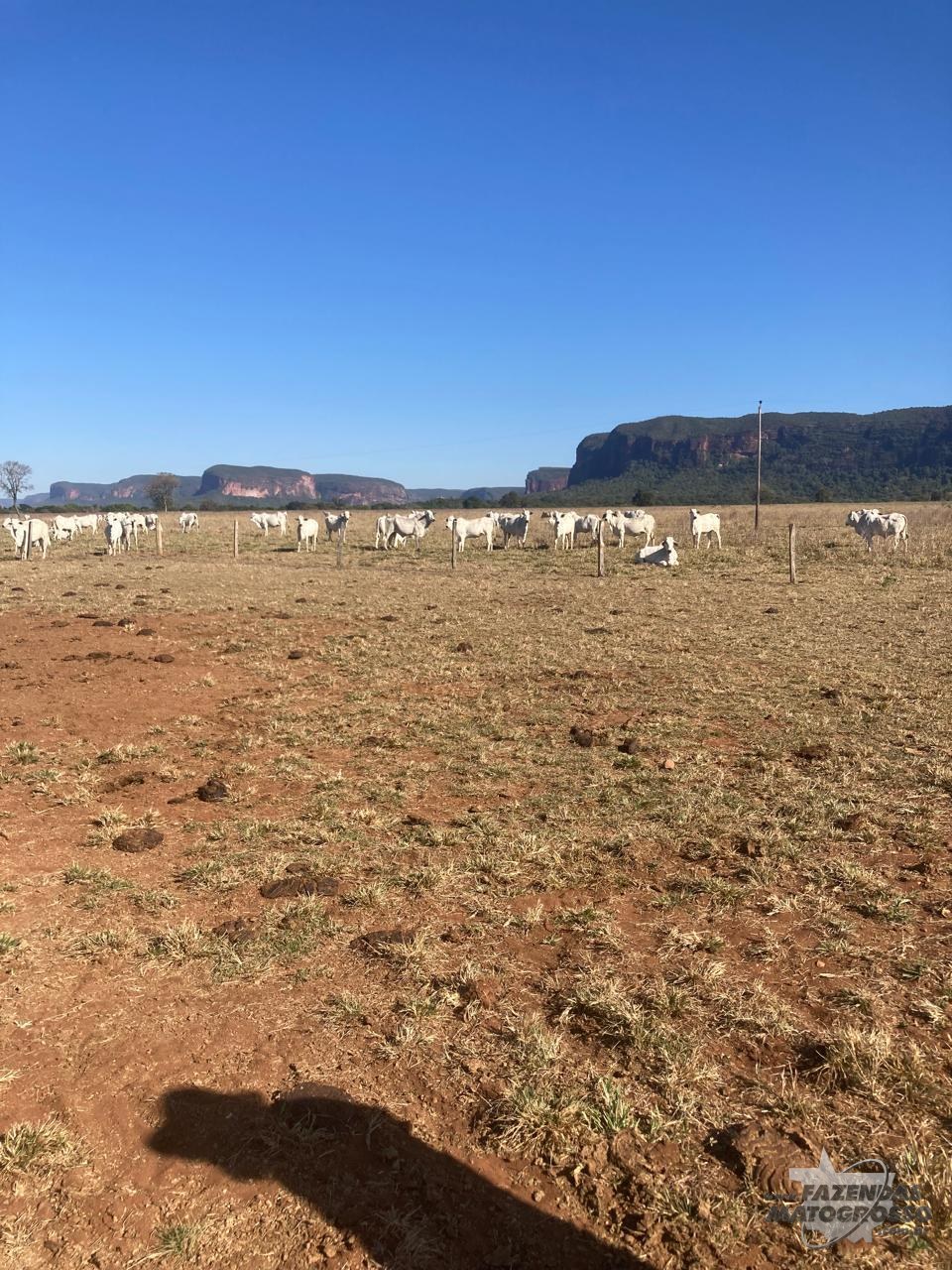 Fazenda a venda em Barra do Garças