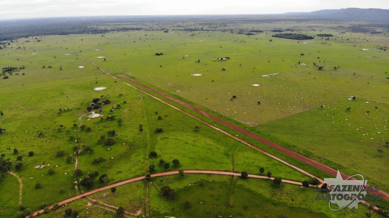Fazenda para arrendamento em Caceres - MT