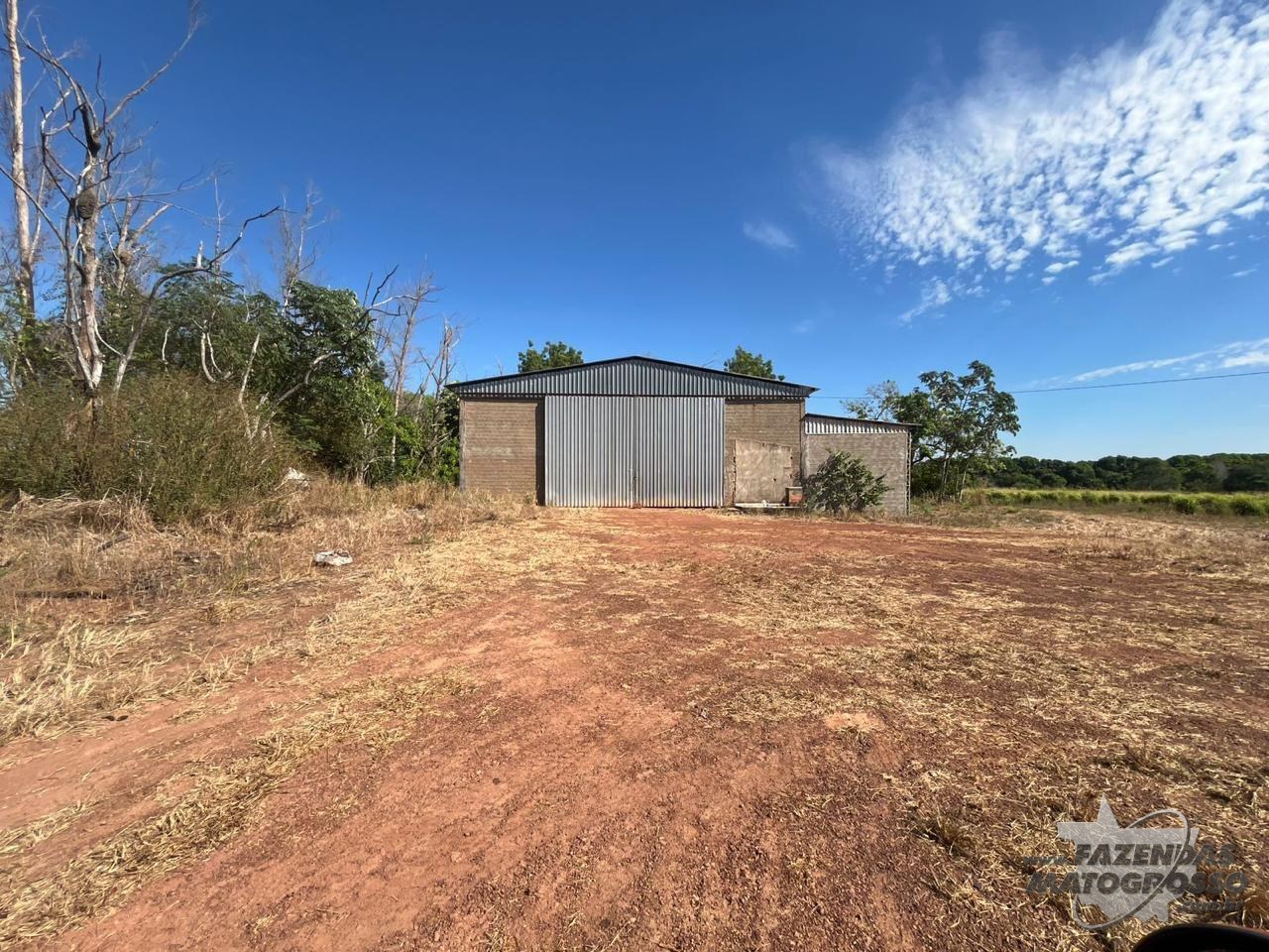 Fazenda para arrendamento em Pedro Afonso - TO