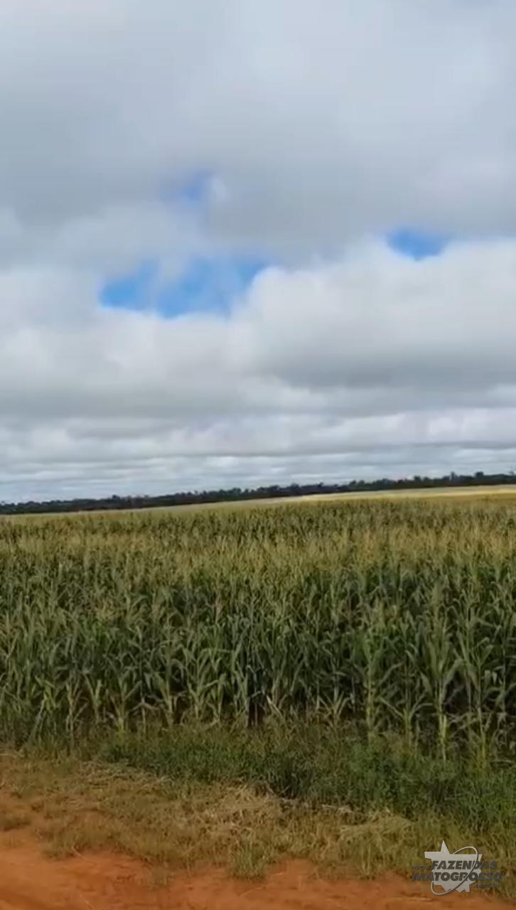 Fazenda a venda em São José do Rio Claro