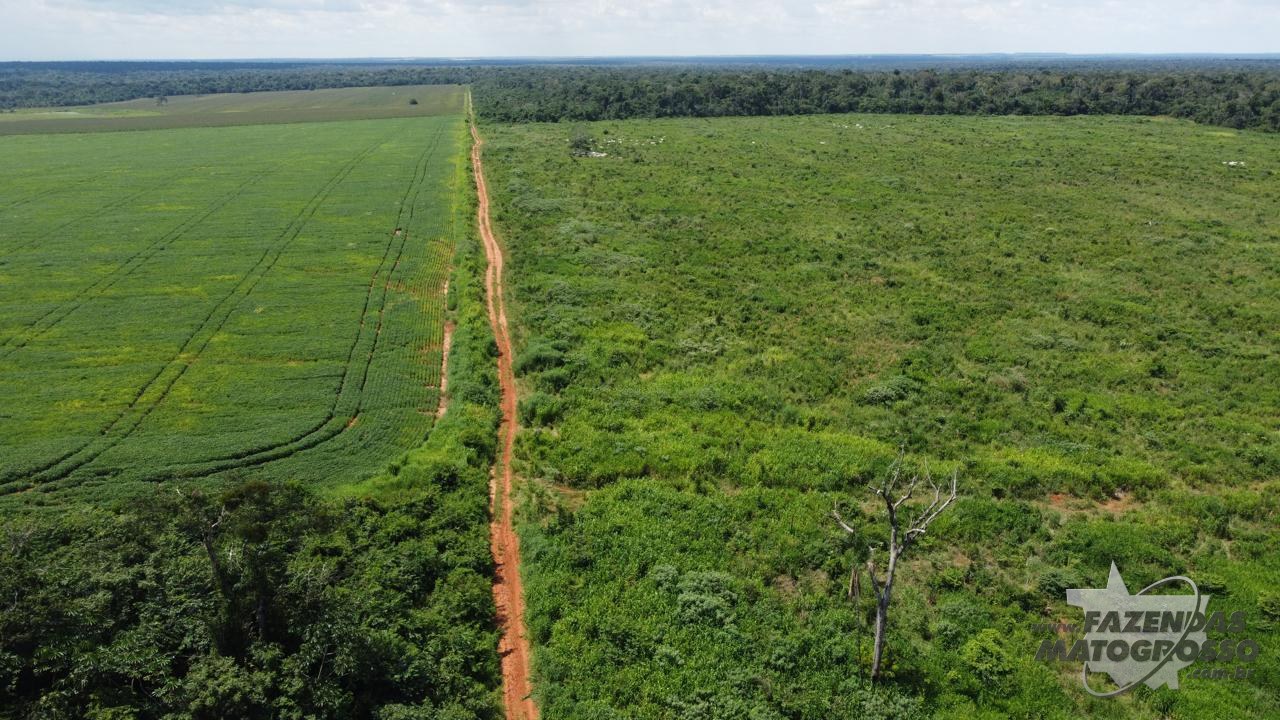 Fazenda a venda em São Lourenço de  Fátima - MT