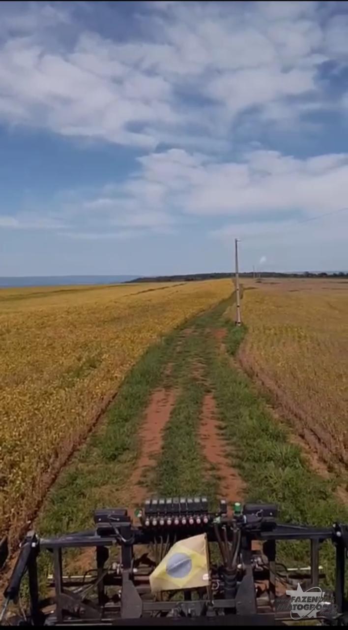 Fazenda para Arrendamento em Nobres - MT