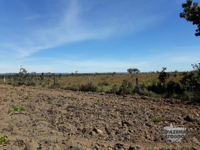 Fazenda  a venda em Planalto da Serra - MT