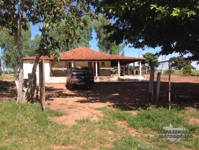 Fazenda a venda em Alto Garças - MT