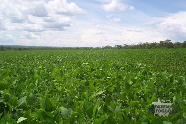 Fazenda a venda em Araguaiana- MT