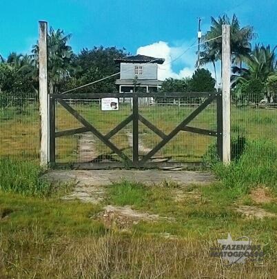 Fazenda a venda em Tartarugalzinho - AP
