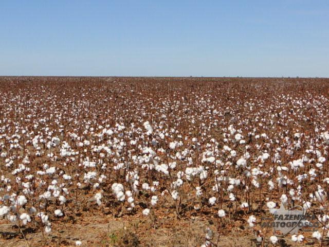 Fazenda a venda em Cocos - BA