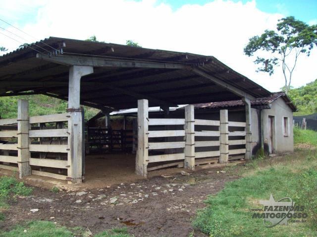 Fazenda a venda em Itacaré - BA