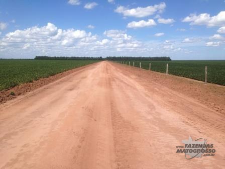 Fazenda a venda em Jaborandi - BA