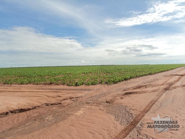 Fazenda a venda em Jaborandi - BA
