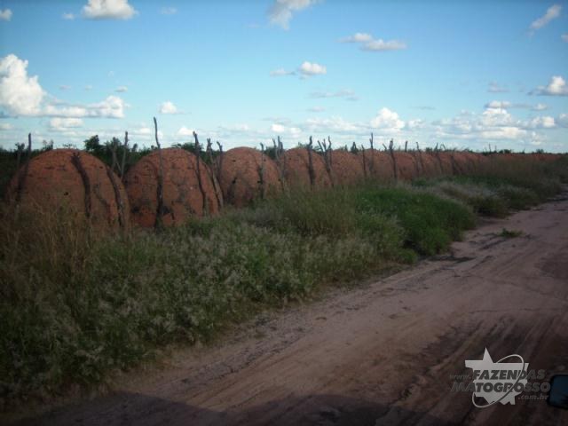 Fazenda a venda em Jaborandi - BA
