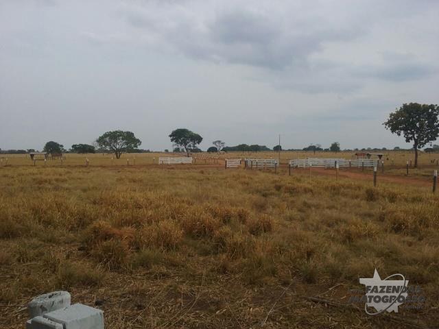 Fazenda a venda em Abreulândia - TO
