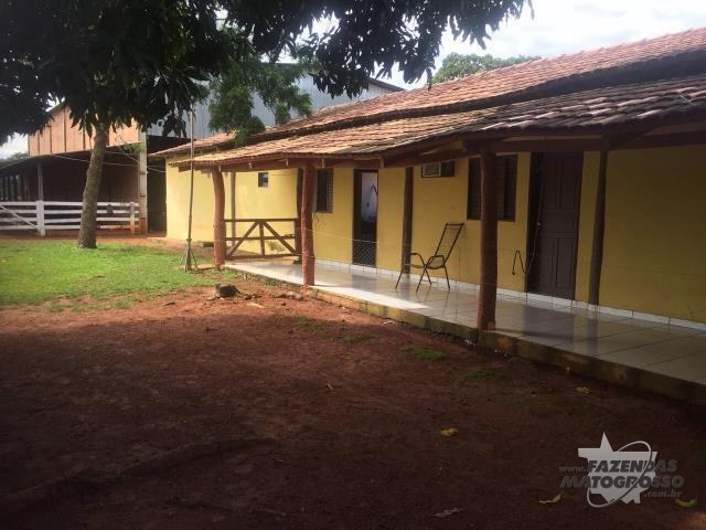 Fazenda a venda em Abreulândia - TO