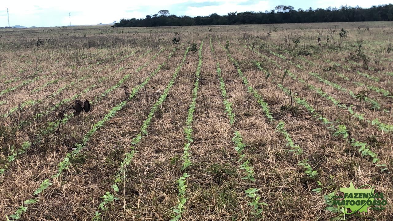 Fazenda a venda em Paranatinga-MT
