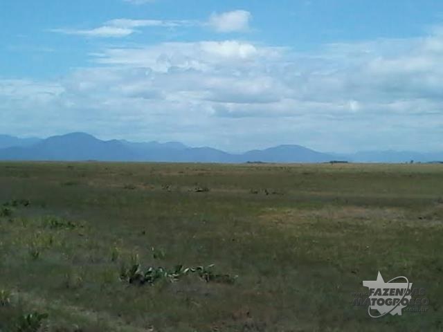 Fazenda a venda em Bonfim - Roraima