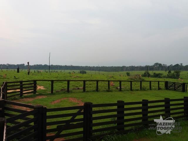 Fazenda a venda em Altamira - PA
