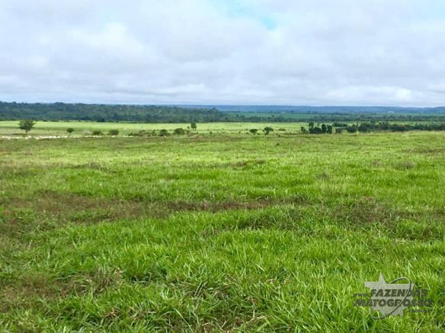Fazenda a venda em Canabrava do Norte -MT