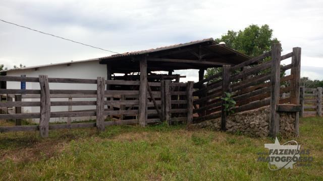 Fazenda a venda em Canarana - MT