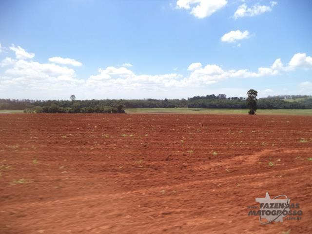 Fazenda a venda em Canarana - MT