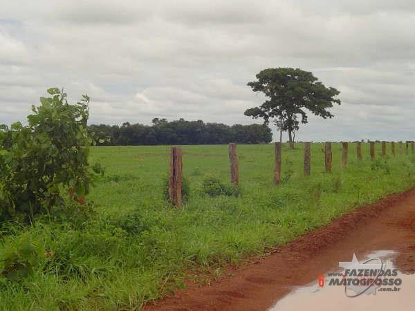 Fazenda a venda em Cocalinho - MT