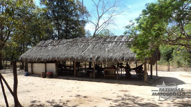 Fazenda a venda em Cocalinho - MT