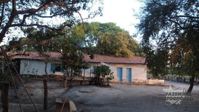 Fazenda a venda em Cocalinho - MT