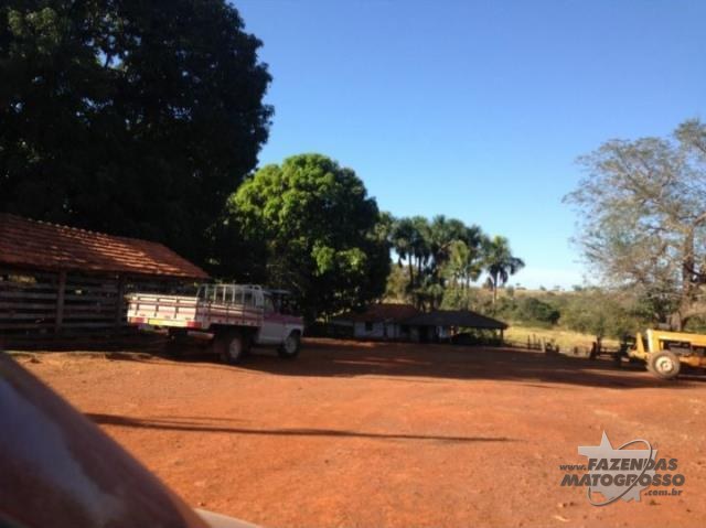 Fazenda a venda em Diamantino - Mt