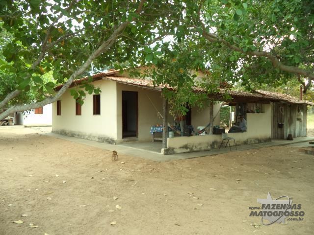 Fazenda a venda em Cocalinho - MT