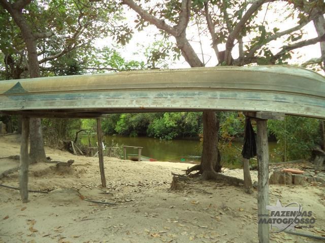 Fazenda a venda em Cocalinho - MT