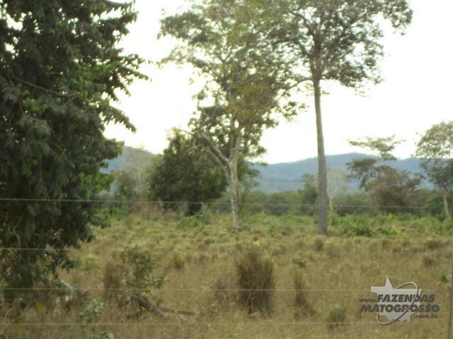 Fazenda a venda em Cocalinho - MT