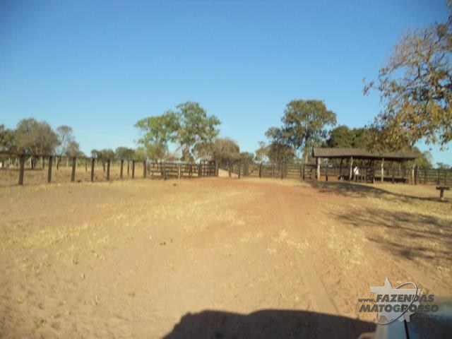 Fazenda a venda em Torixoreu
