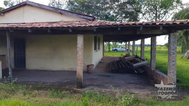 Fazenda a venda em Novo São Joaquim - MT