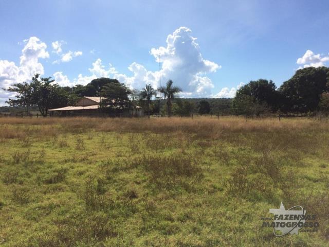 Fazenda a venda em Montes Claros de Goiás - GO