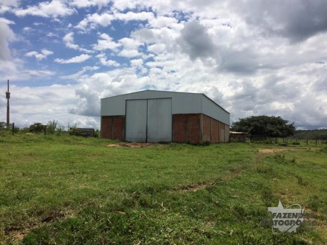 Fazenda a venda em Caiapônia - GO