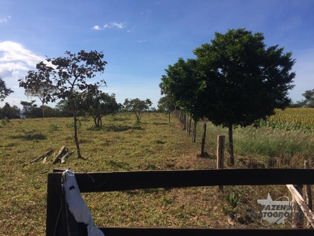 Fazenda a venda em São Miguel do Passa Quatro - GO