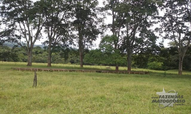 Fazenda  a venda em Leopoldo de Bulhões - GO