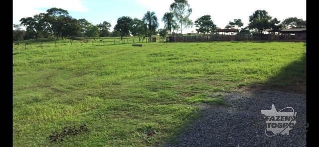 Fazenda a venda em Nova Xavantina - MT