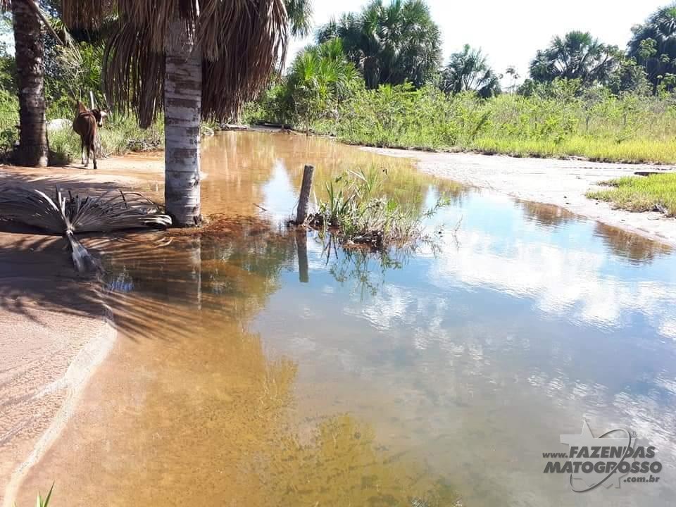 Fazenda a venda em Nova Xavantina - MT