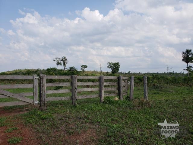 Fazenda a venda em  Peixoto de Azevedo
