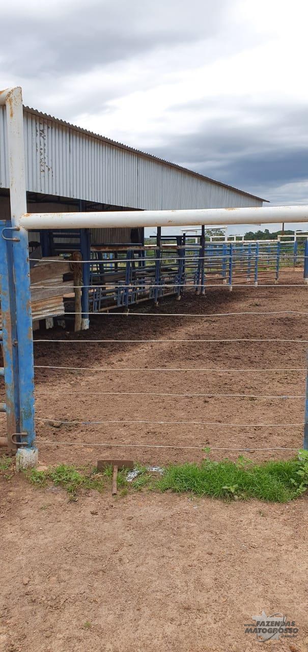 Fazenda a venda em Tesouro - MT