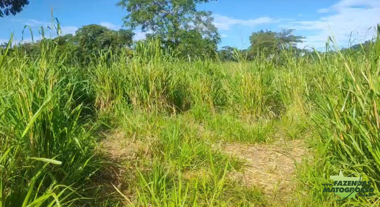 Fazenda a venda em Nossa Senhora do Livramento-MT