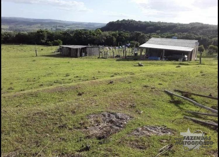 Fazenda a venda em Vila Nova do Sul - RS