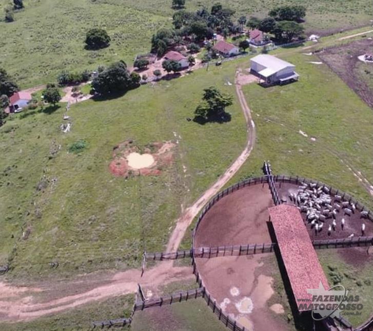 Fazenda a venda em Matupá - MT