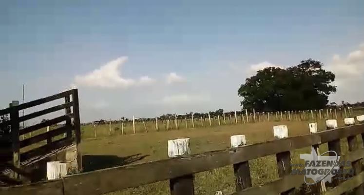 Fazenda a venda em Boa Vista do Gurupi - MA