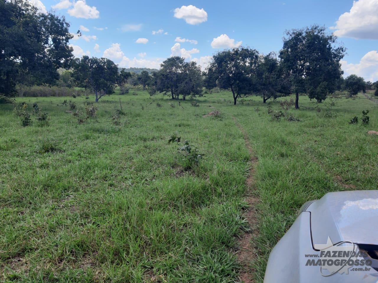 Fazenda a venda em Nova Xavantina - MT