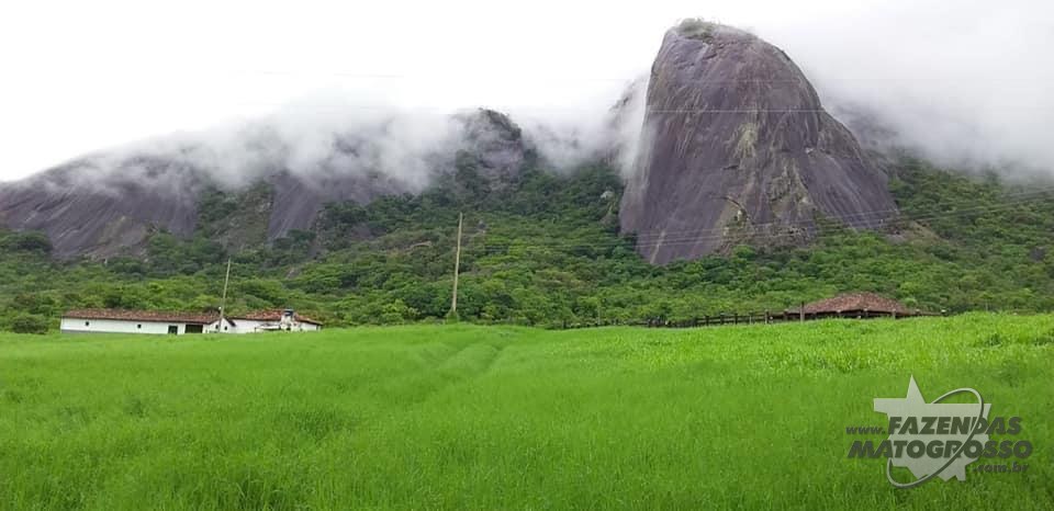 Fazenda a venda no Nordeste de Minas Gerais - MG