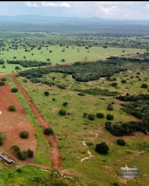 Fazenda a venda no município de Talismã - TO