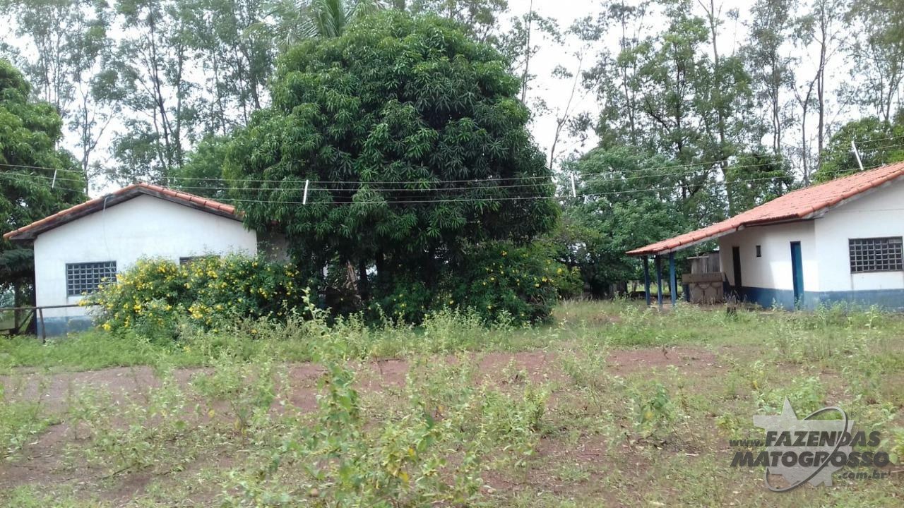 Fazenda a venda em Paranatinga - MT